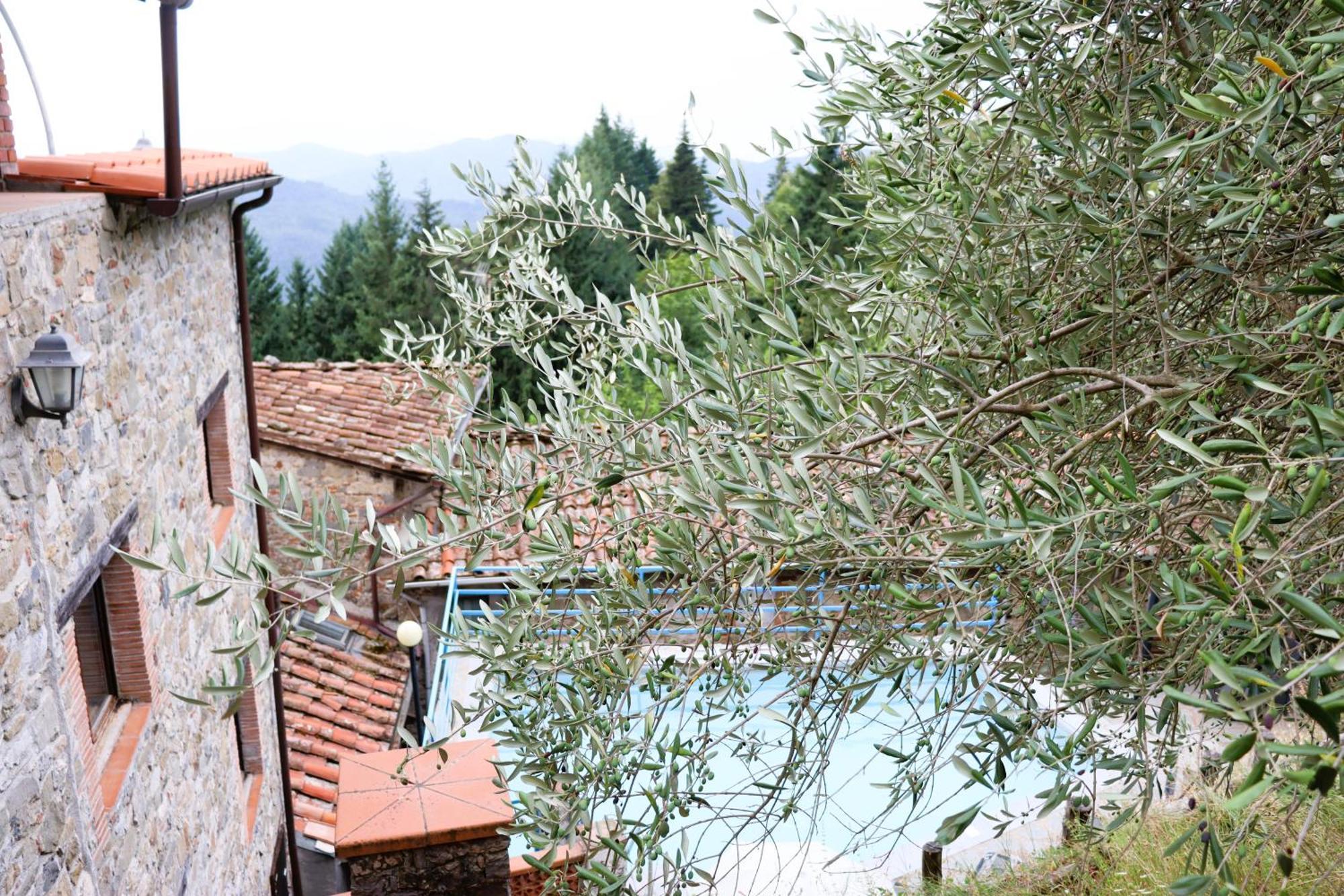 Carpe Diem Colognora Villa Vetriano Exterior photo